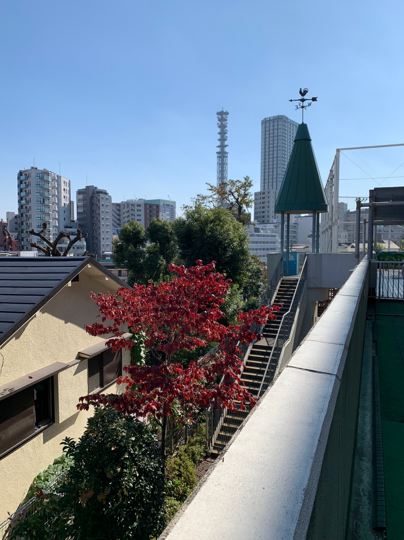 【牛込柳町駅徒歩1分/栄養士/正社員】有給休暇は初年度15日付与♪美味しい給食を届けるお仕事です♪(原町みゆき保育園さん)のメインイメージ